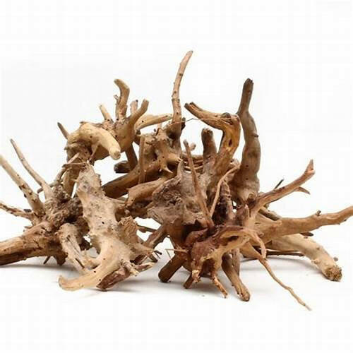 Nano Spider Wood Pieces -20-30cm (per gram)