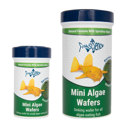 Fish Science - Mini Algae Wafers