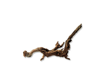 2_00_3_352x.jpg?v=1725017252