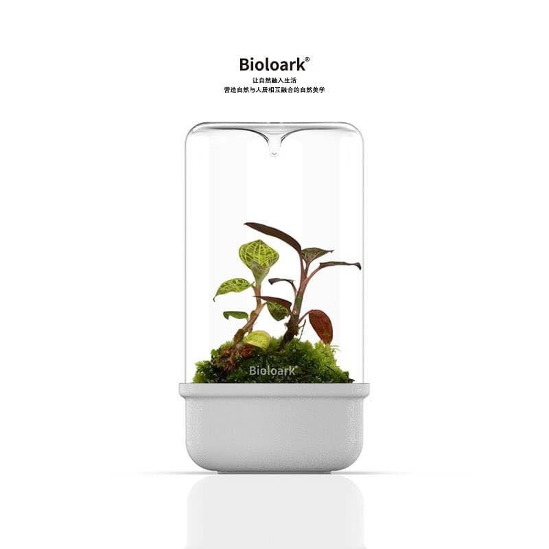 Bioloark -  Bio Bottle MH Series