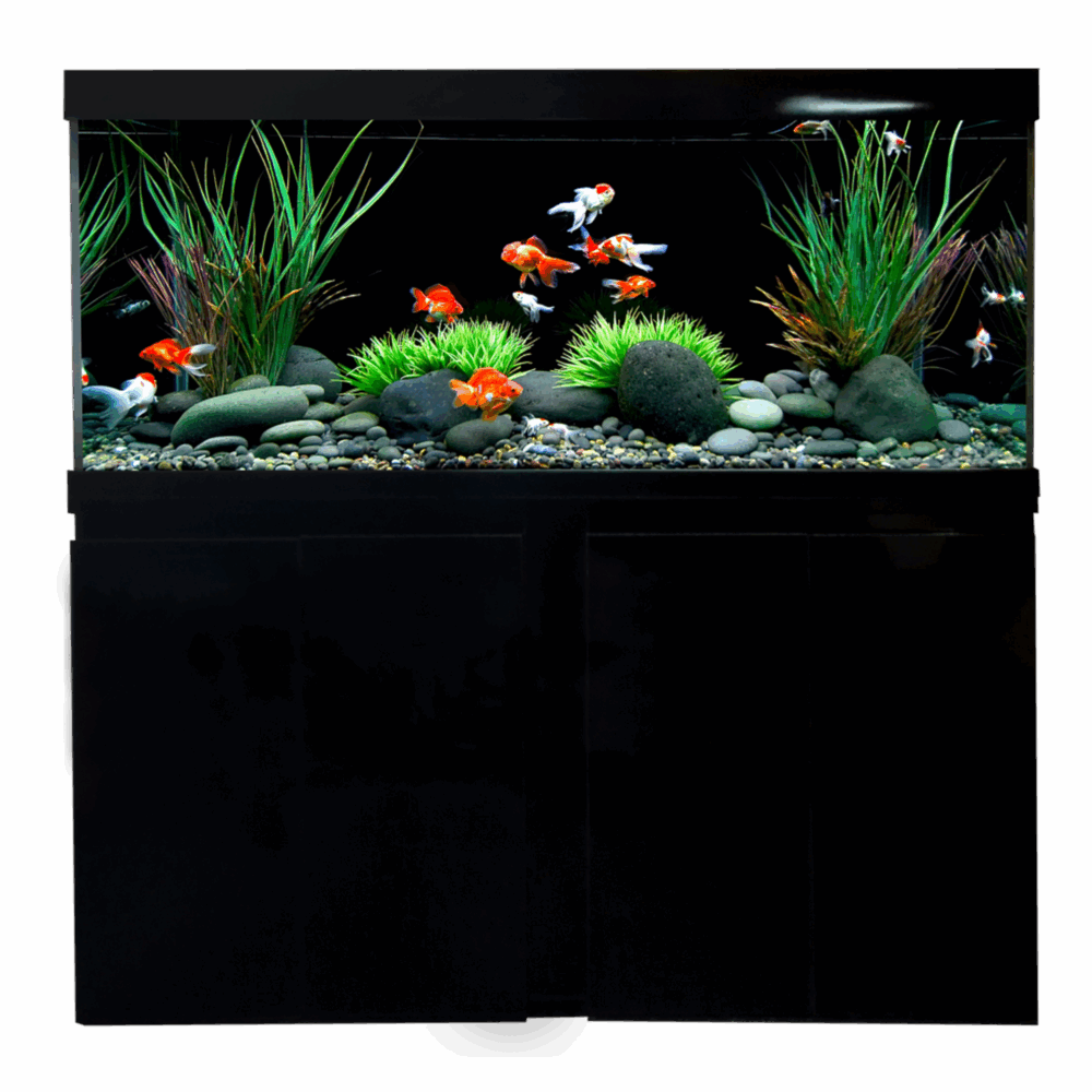 Elegance Aquariums