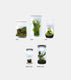 Sticky Image