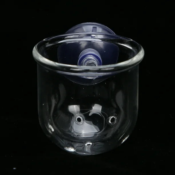 Crystal Glass Feeding Dish