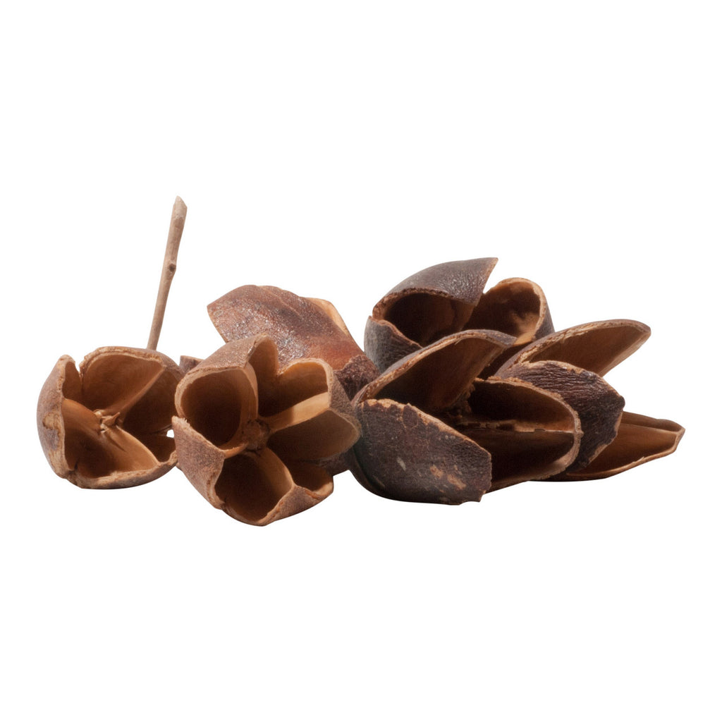 Bakuli Pods
