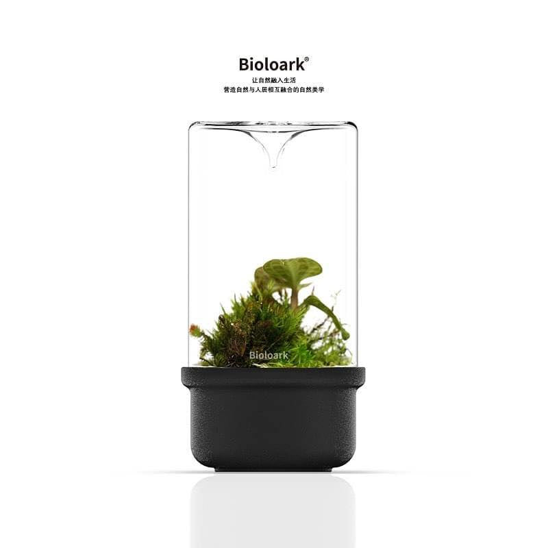 Black Bio Bottle MH Series showcasing moss and leafy greens.