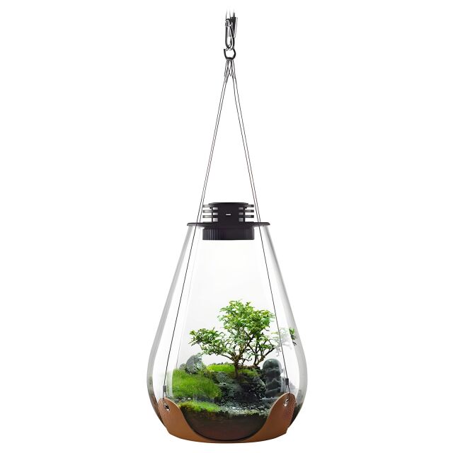 Bioloark Suspension