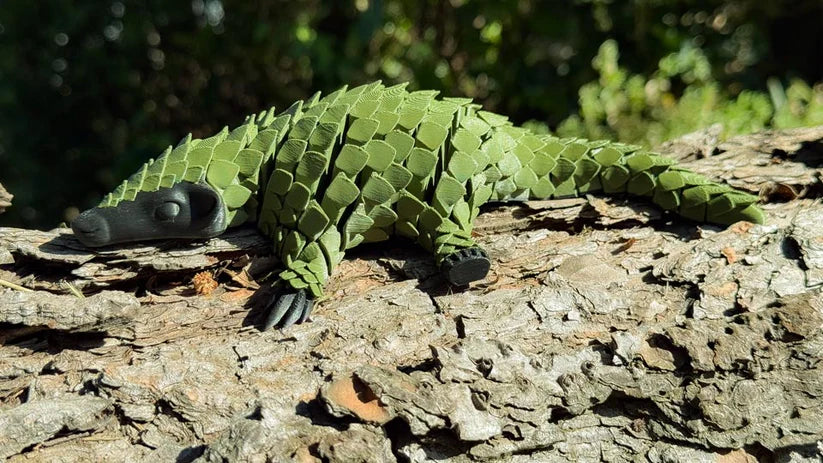 Pangolin: Ambassador Animal