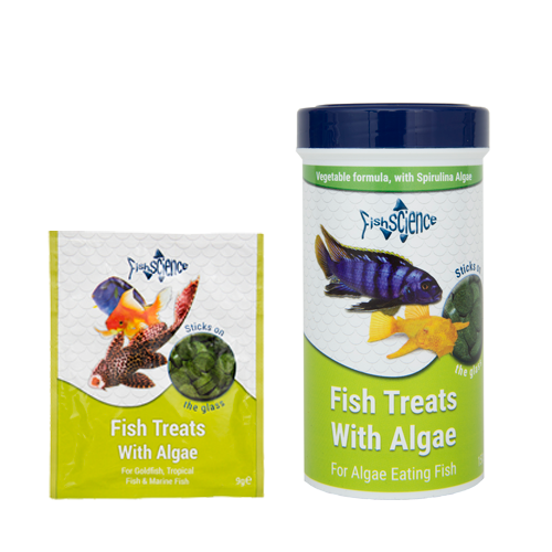 Fish Science - Fish Treats with Algae