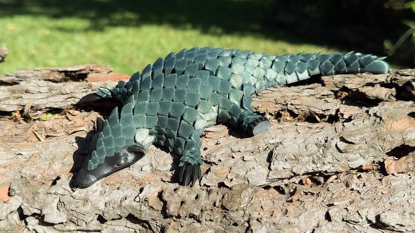 Pangolin: Ambassador Animal