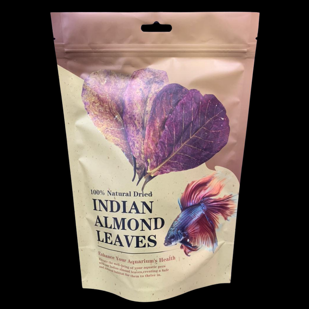 Indian Almond leaves (10pcs) -New