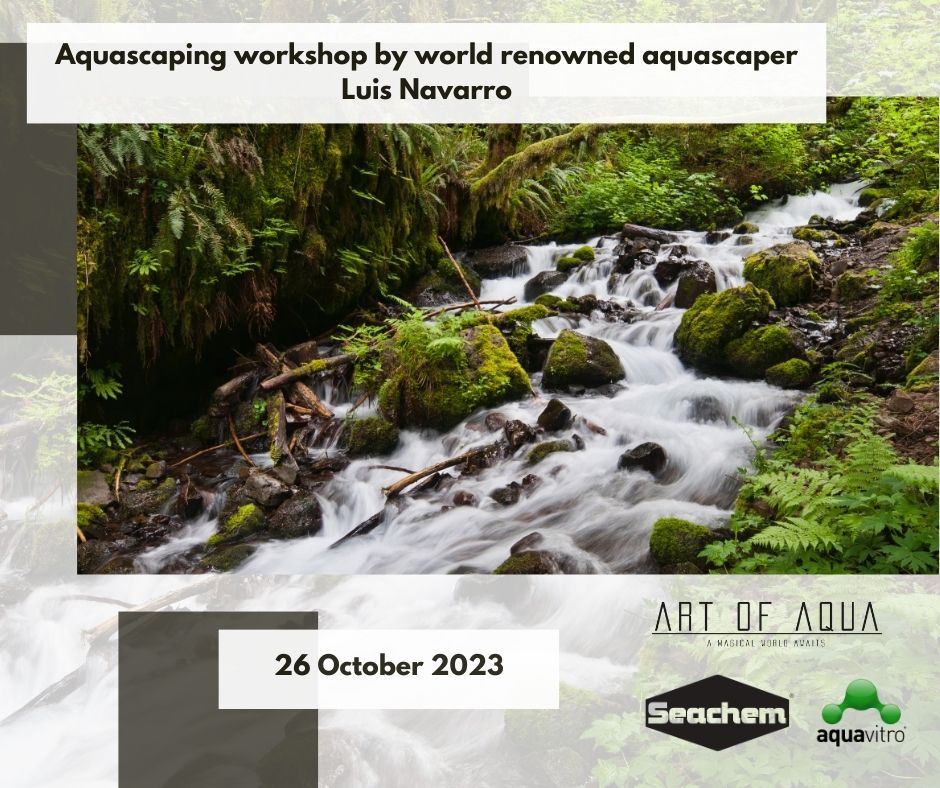 Aquascaping Workshop by Luis Navarro