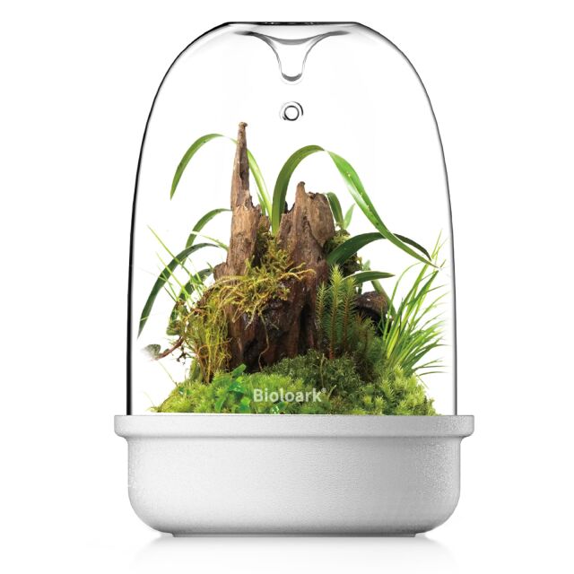 Bioloark -  Bio Bottle MQ Series