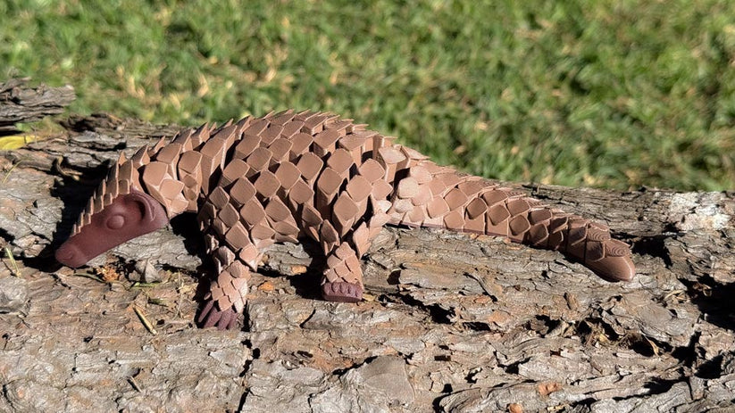Pangolin: Ambassador Animal