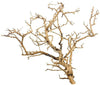 Tiny Ramous Wood Branches (per gram)