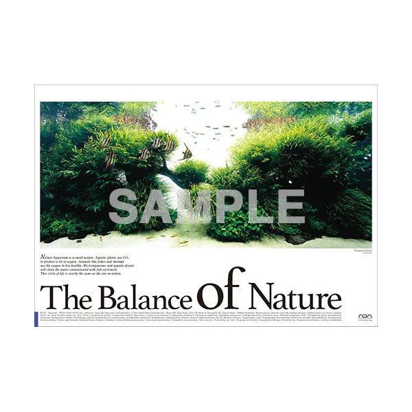 ADA - Balance of Nature Poster