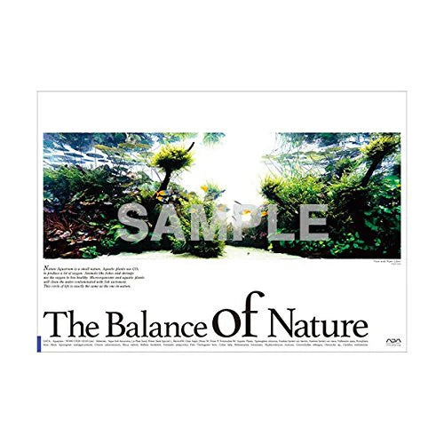 ADA - Balance of Nature Poster