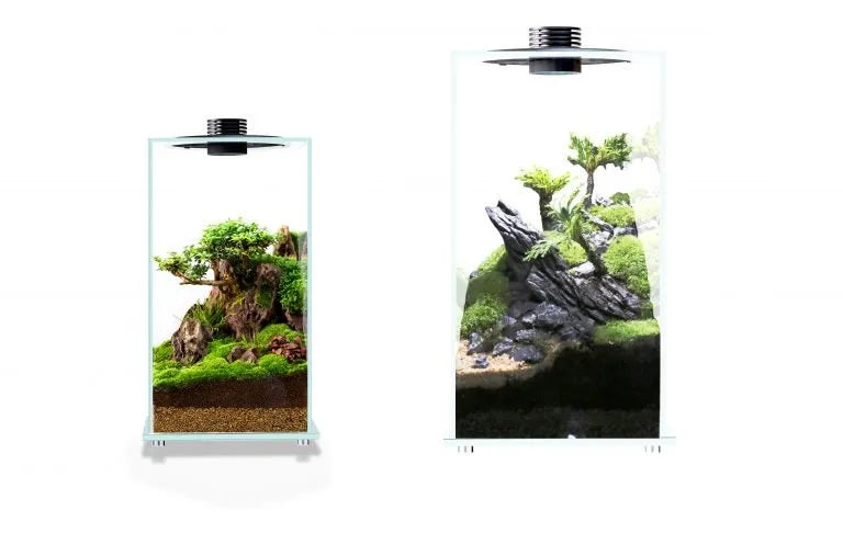 Bioloark - Bio Bottle LED FD