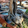 Epic Driftwood (100g)