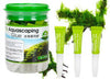 ISTA - Plant Gel Glue (1pc)