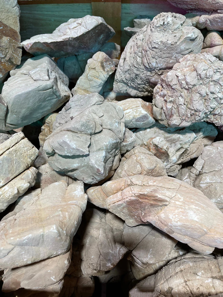 Tortoise Shell Rock Tortoise Stone/100g – Art of Aqua