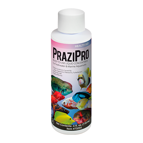 PraziPro