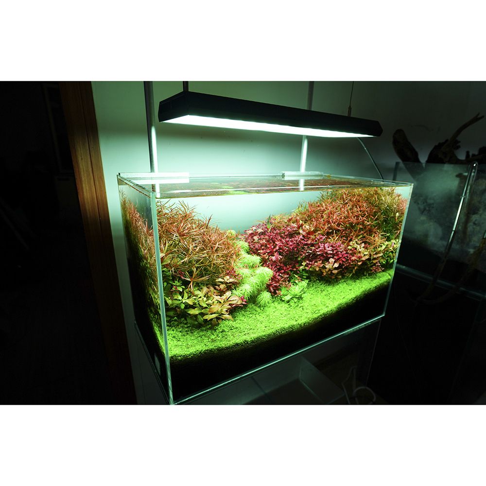 Chihiros - RGB Vivid II LED light – Art of Aqua