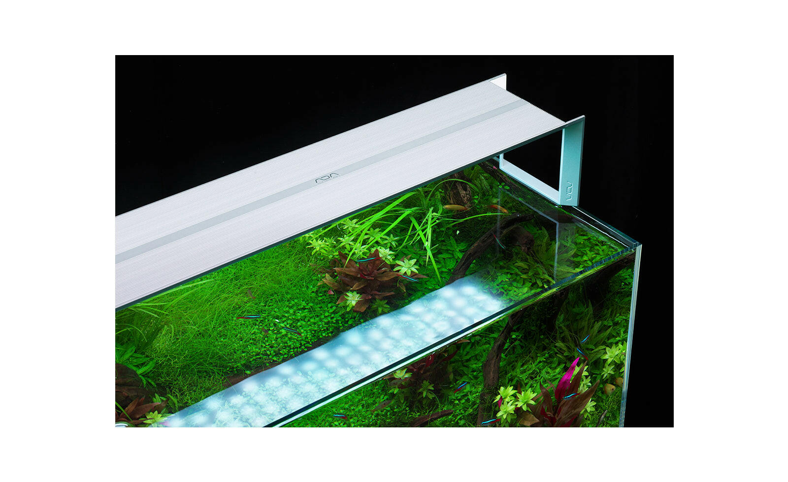 RGB ADA 0 アクアスカイ 公式通販 照明 AQUASKY | - Ⅱ アクア 60の