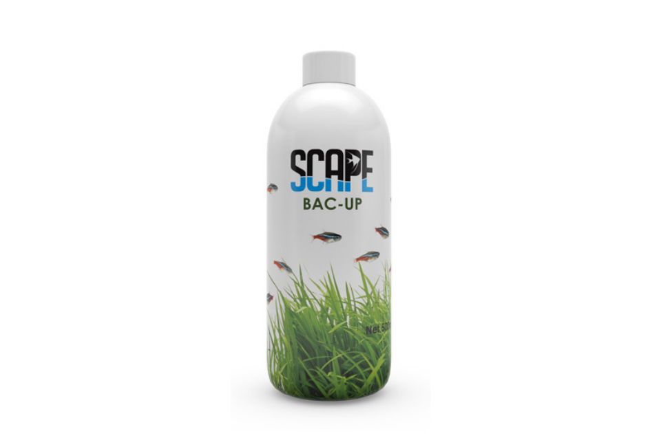 Scape -  Back-up
