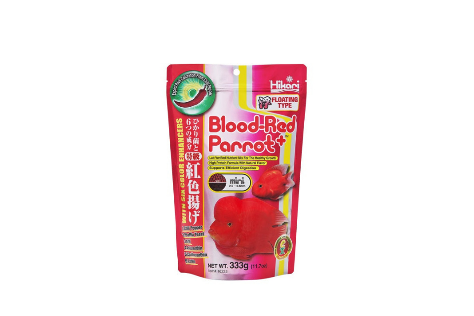 Blood-Red Parrot Plus