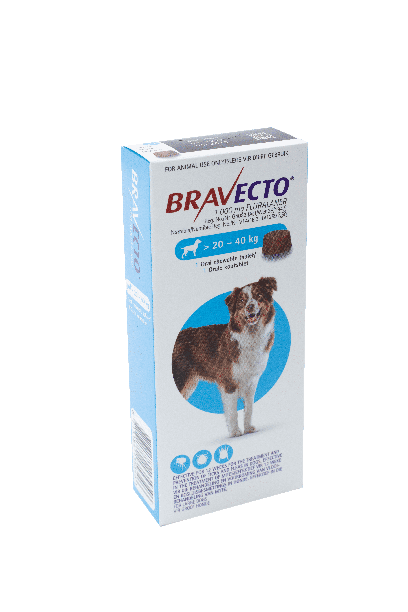 Bravecto for dogs