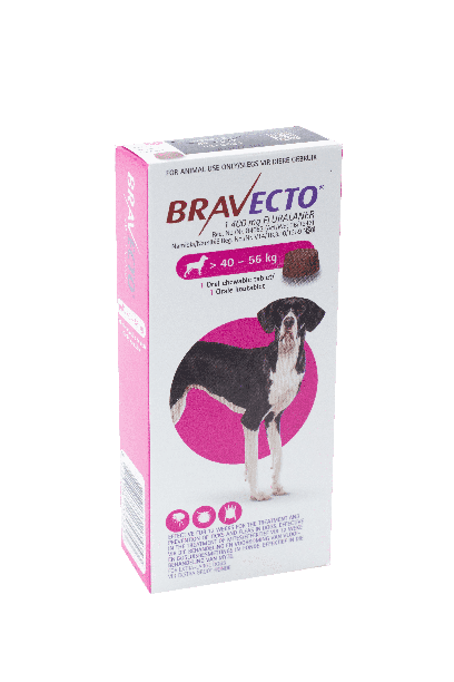 Bravecto for dogs