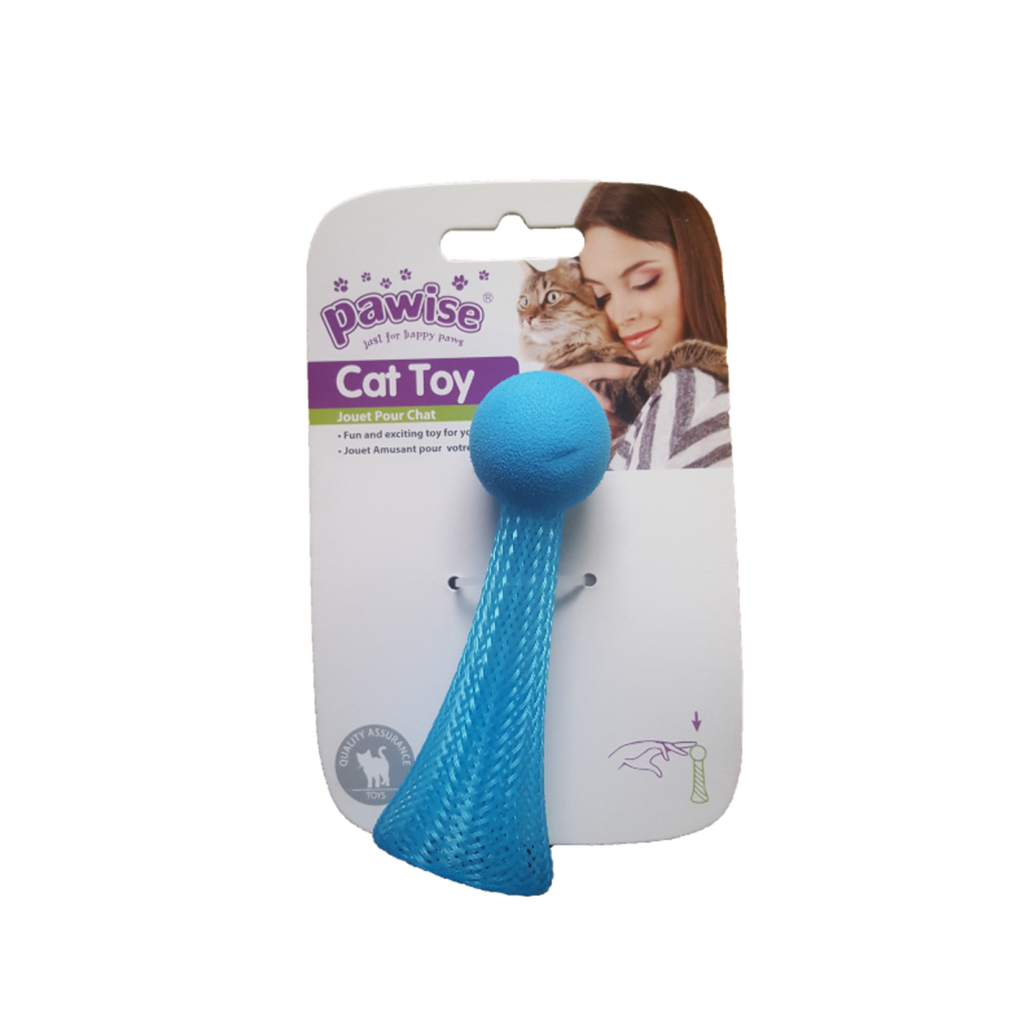 Cat Toy with light