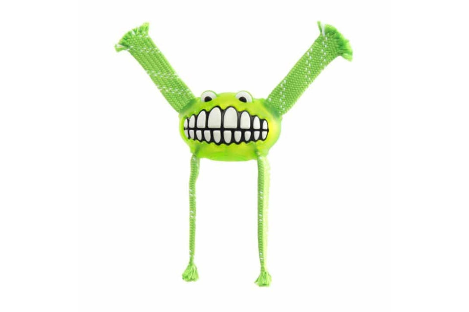 Flossy Grinz Dental Toy