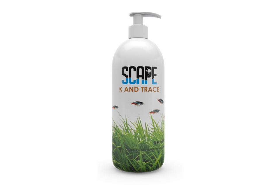 Scape - K and Trace