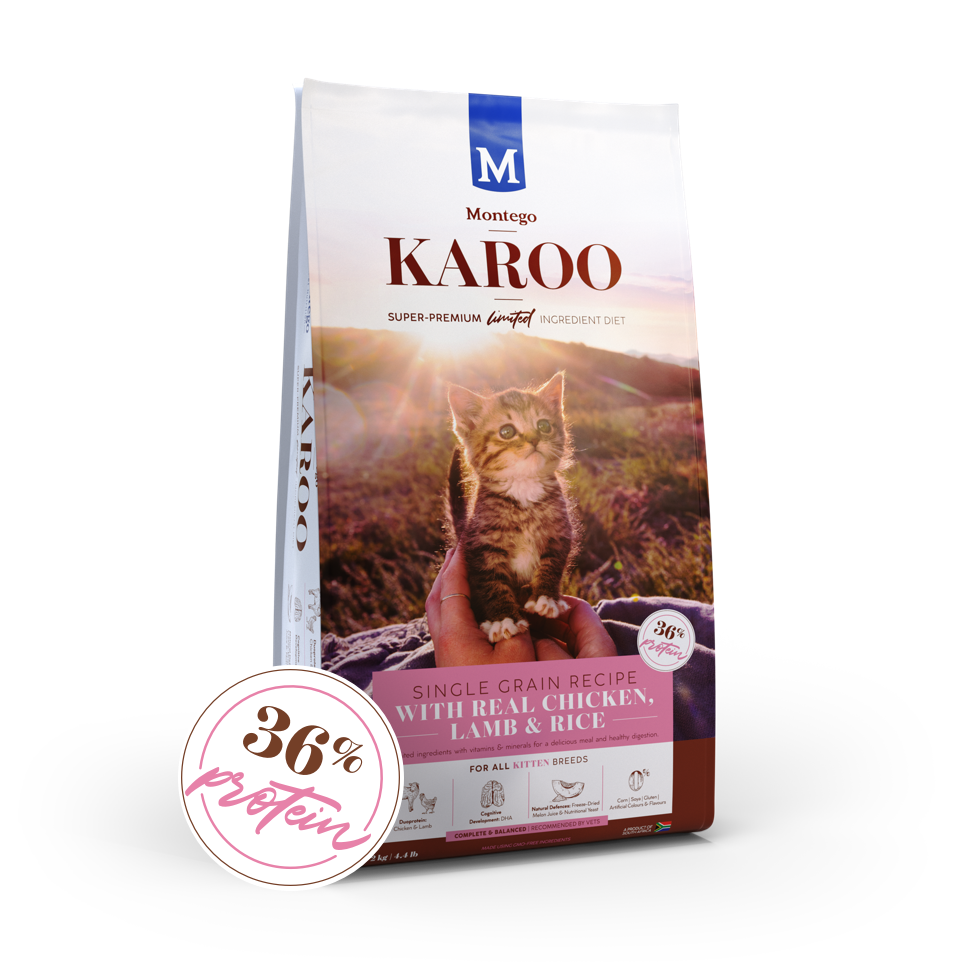 Karoo Kitten Chicken & Lamb