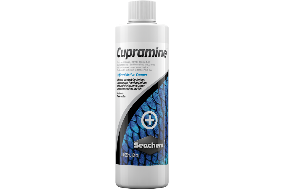 Seachem Cupramine 250 mL bottle designed to safely eliminate external parasites.