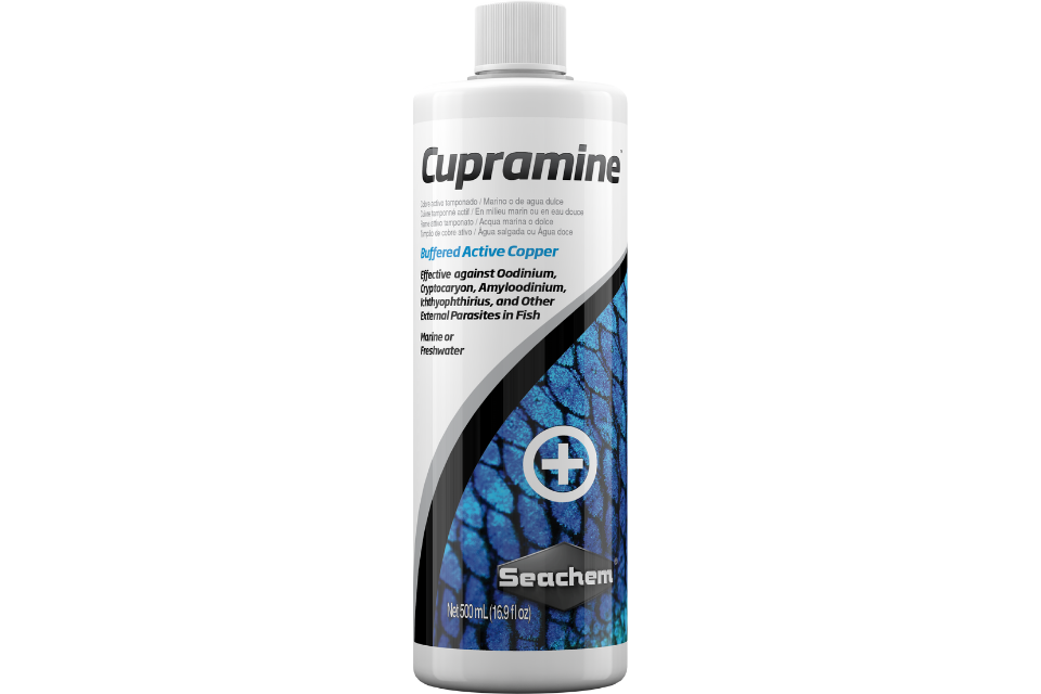 Seachem Cupramine 500 mL bottle for effective treatment of parasites in fish tanks.