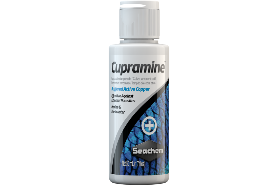 Seachem Cupramine 50 mL bottle for treating external parasites in marine and freshwater aquariums.