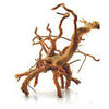 Spider Wood