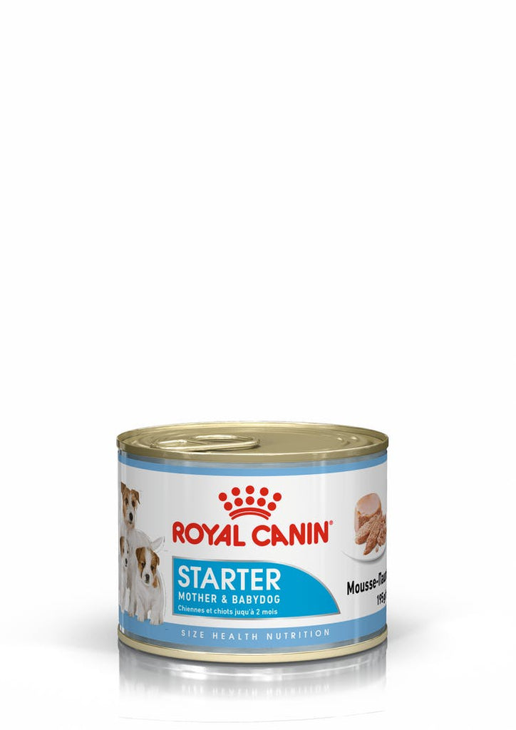 Starter Mousse Can - 195g