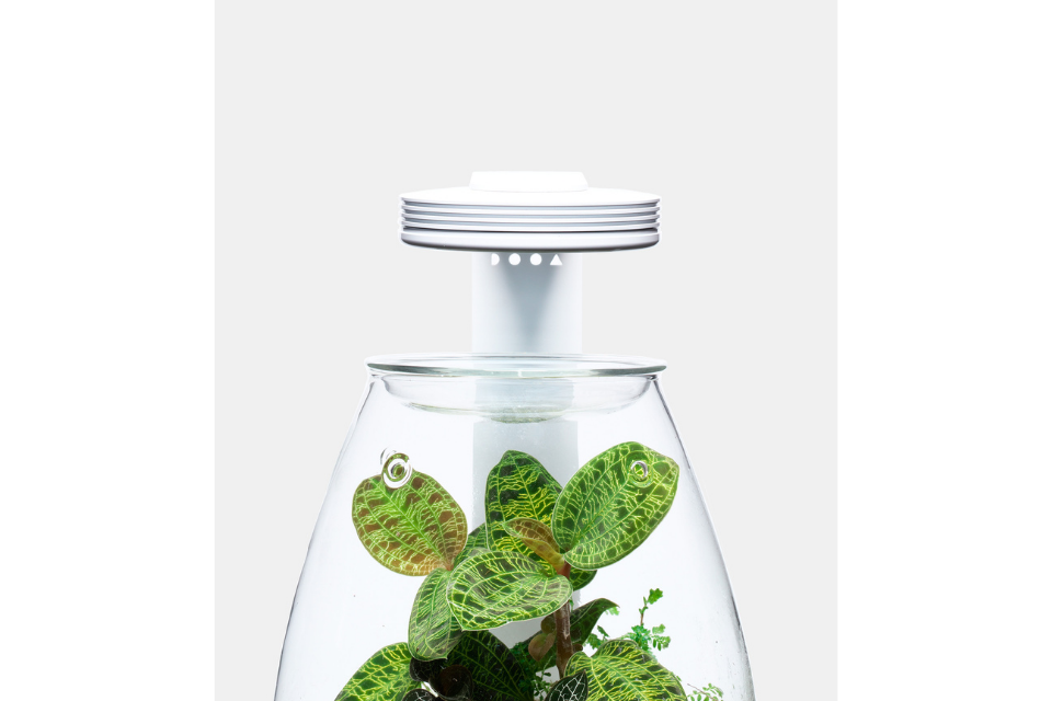 DOOA - Glass Pot Shizuku
